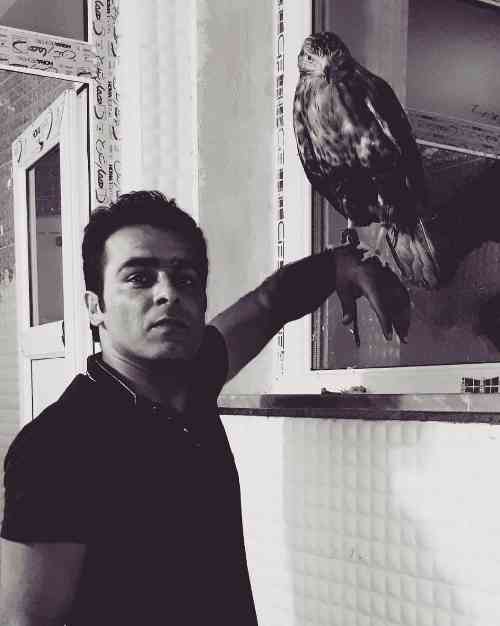 قاسم فاضلی گل مریم